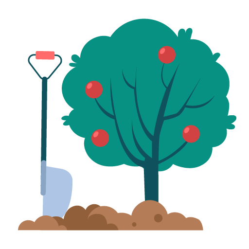 Fruit tree planting